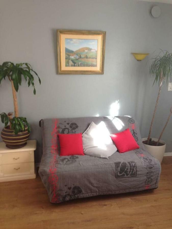 Petit Appartement Douillet Tres Bien Situe Biarritz Exteriér fotografie